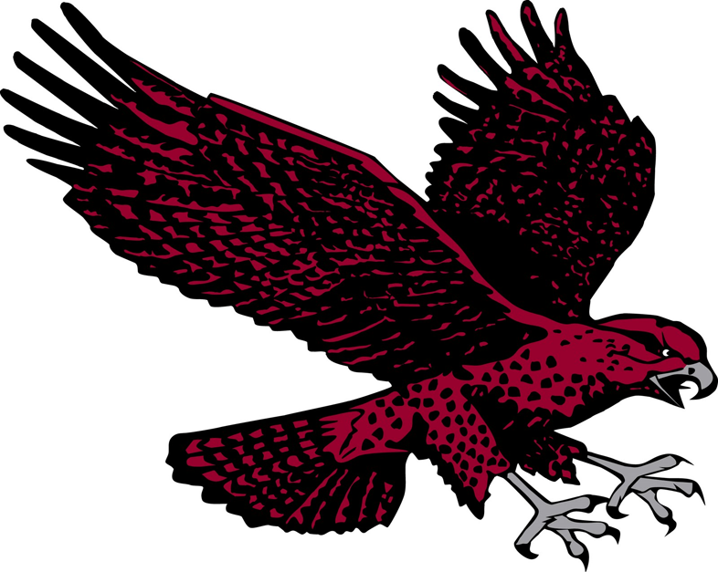 Maryland-Eastern Shore Hawks 2007-Pres Secondary Logo iron on transfers for clothing